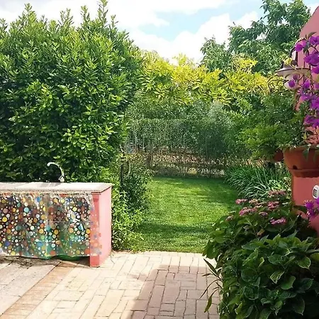 Fortuna - Relax * Alguer